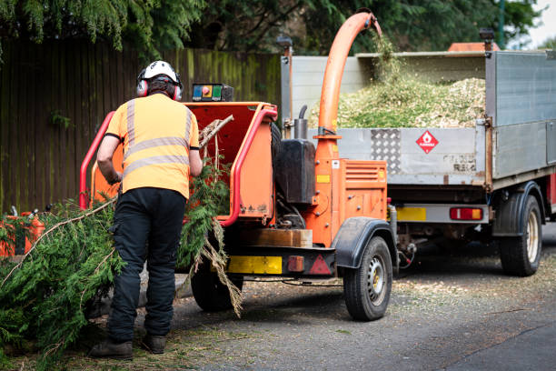 Best Utility Line Clearance  in Oroville, WA